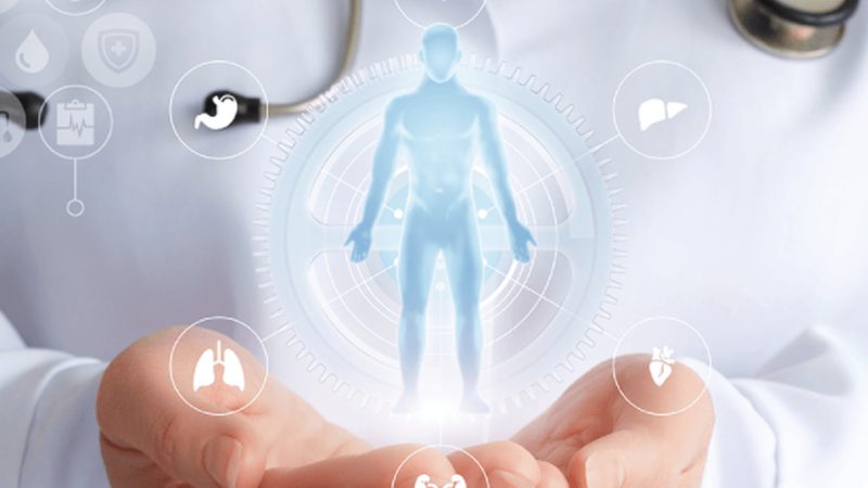 中医养生经典书籍套装：传承智慧，开启健康之门
